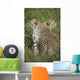 Young Cheetahs In Grassland Habitat, Africa Wall Mural