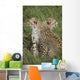 Young Cheetahs In Grassland Habitat, Africa Wall Mural