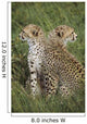 Young Cheetahs In Grassland Habitat, Africa Wall Mural
