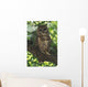 Mexican Spotted Owl On Perch In Gambel Oak Wall Mural
