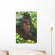 Mexican Spotted Owl On Perch In Gambel Oak Wall Mural