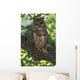 Mexican Spotted Owl On Perch In Gambel Oak Wall Mural