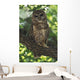 Mexican Spotted Owl On Perch In Gambel Oak Wall Mural