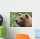 Grizzly Bear Portrait Wall Mural