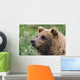 Grizzly Bear Portrait Wall Mural