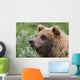Grizzly Bear Portrait Wall Mural