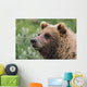 Grizzly Bear Portrait Wall Mural