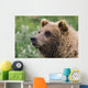 Grizzly Bear Portrait Wall Mural