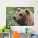 Grizzly Bear Portrait Wall Mural