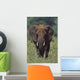 African Elephant, Africa Wall Mural
