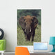 African Elephant, Africa Wall Mural