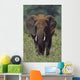 African Elephant, Africa Wall Mural