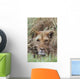 Lioness Peering Through Grass, Africa Wall Mural