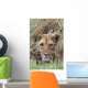 Lioness Peering Through Grass, Africa Wall Mural
