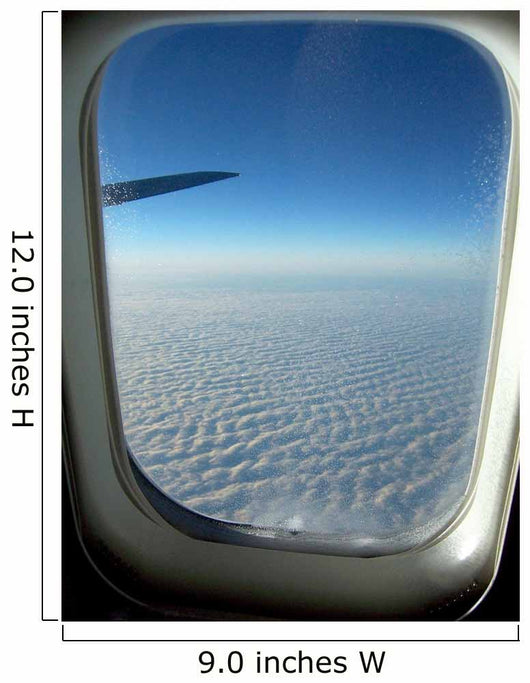 View from a Jet Wall Mural