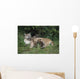 Mountain Lion Nursing Cubs Wall Mural