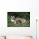 Mountain Lion Nursing Cubs Wall Mural
