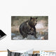 Wet Grizzly Bear Running In Stream Wall Mural