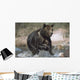 Wet Grizzly Bear Running In Stream Wall Mural