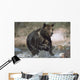 Wet Grizzly Bear Running In Stream Wall Mural