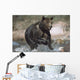 Wet Grizzly Bear Running In Stream Wall Mural