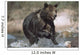 Wet Grizzly Bear Running In Stream Wall Mural