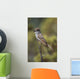 Ash-Throated Flycatcher Perched On Twig Wall Mural