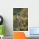 Ash-Throated Flycatcher Perched On Twig Wall Mural
