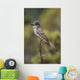 Ash-Throated Flycatcher Perched On Twig Wall Mural