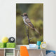 Ash-Throated Flycatcher Perched On Twig Wall Mural