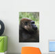 Gorilla Profile Portrait Wall Mural
