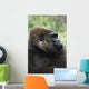 Gorilla Profile Portrait Wall Mural