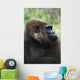 Gorilla Profile Portrait Wall Mural