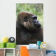 Gorilla Profile Portrait Wall Mural