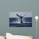 Humpback to Dive