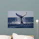 Humpback to Dive