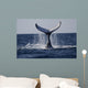 Humpback to Dive