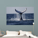 Humpback to Dive