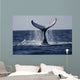 Humpback to Dive