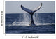 Humpback to Dive