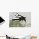 Man Kitesurfing Wall Mural