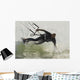 Man Kitesurfing Wall Mural