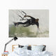 Man Kitesurfing Wall Mural