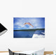 Diving Into A Lake Wall Mural