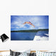 Diving Into A Lake Wall Mural