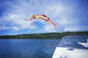 Diving Into A Lake Wall Mural