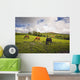 Three Horses Grazing In Field Wall Mural