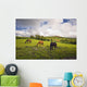 Three Horses Grazing In Field Wall Mural