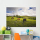 Three Horses Grazing In Field Wall Mural