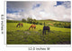 Three Horses Grazing In Field Wall Mural